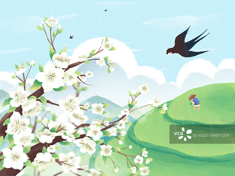 二十四节气春季插画谷雨梨花燕子梯田图片素材