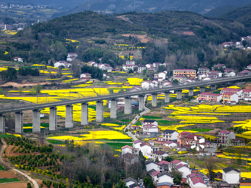 陕西汉中洋县油菜花图片素材