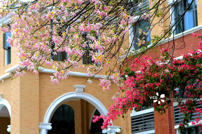 中山大学图片素材