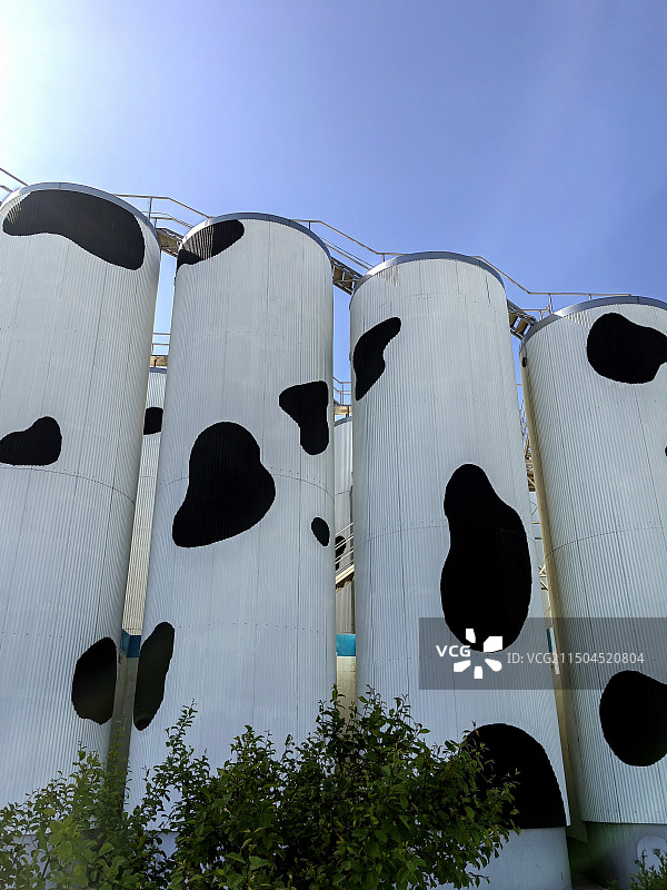 储奶罐特写——拍摄于蒙牛工业园区图片素材