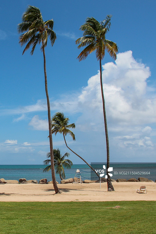 海滩棕榈树顶空景观图片素材