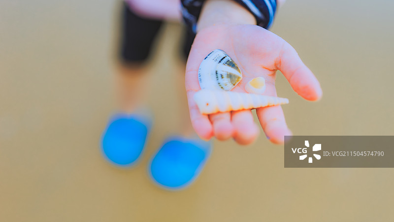 赶海的小朋友图片素材