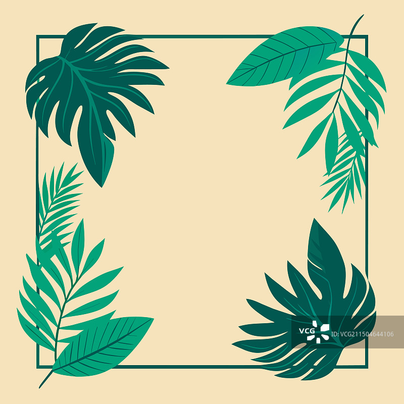 热带棕榈叶组成的方形框架图片素材