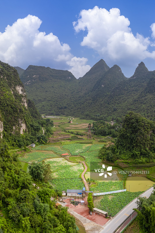 河池市金城江区映荷谷休闲农业示范园图片素材