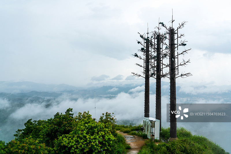 珠海凤凰山仿树信号塔图片素材