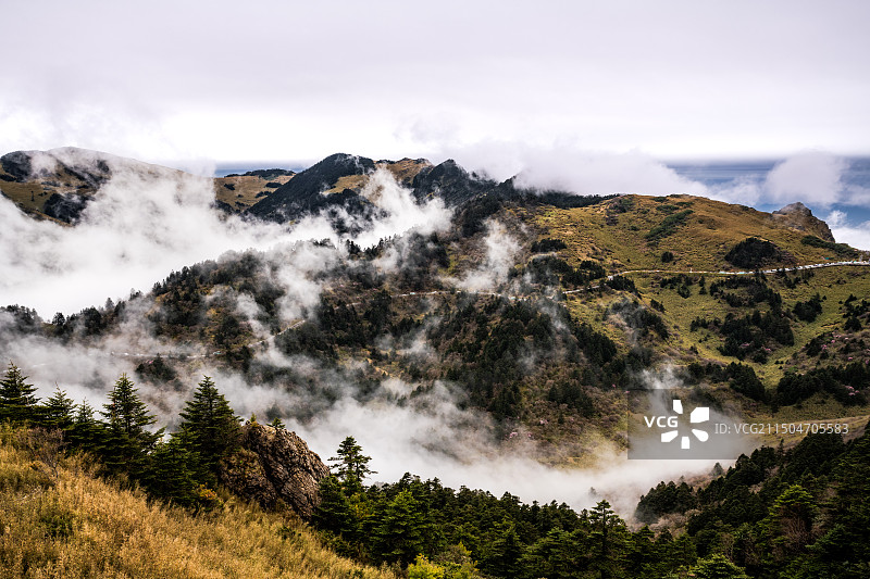 神农架 神农顶 湖北图片素材