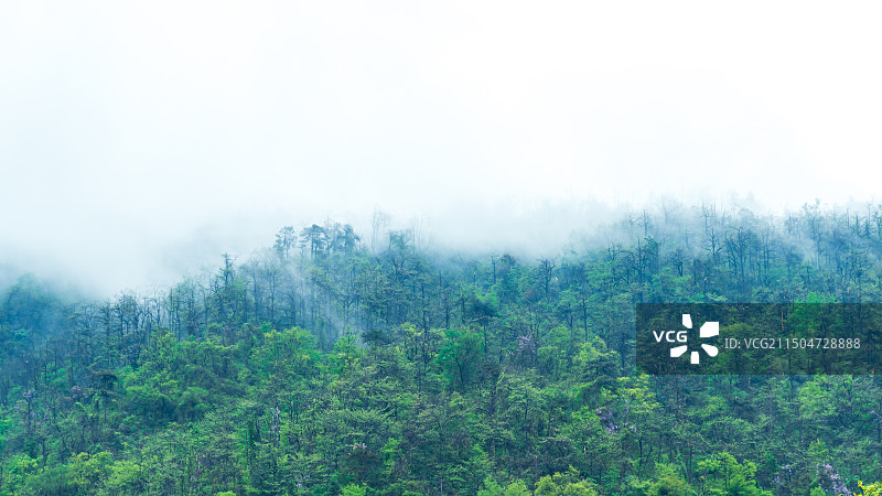 新昌天姥山烟雨江南图片素材