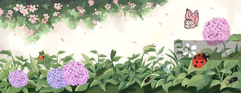 昆虫记图片素材