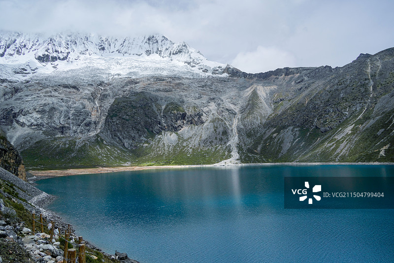 绝美白玛琳错湖 与湖边的高山植物 野杜鹃图片素材