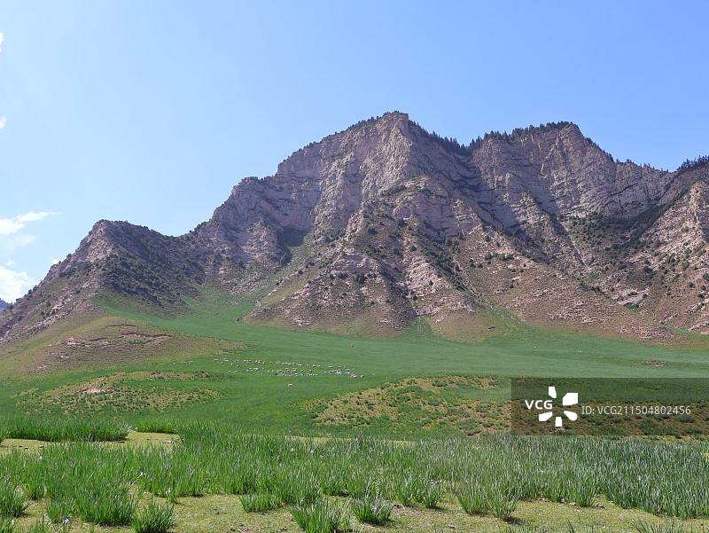 祁连山冰沟河景区图片素材