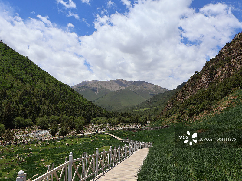 冰沟河景区木栈道图片素材