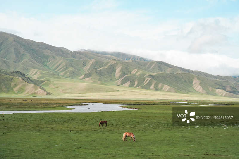 巴音布鲁克草原图片素材