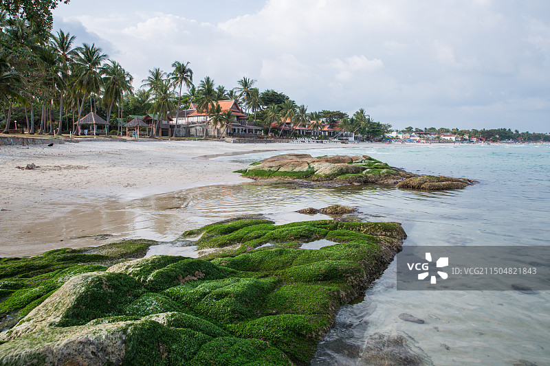 泰国苏梅岛的阳光沙滩椰树海景图片素材