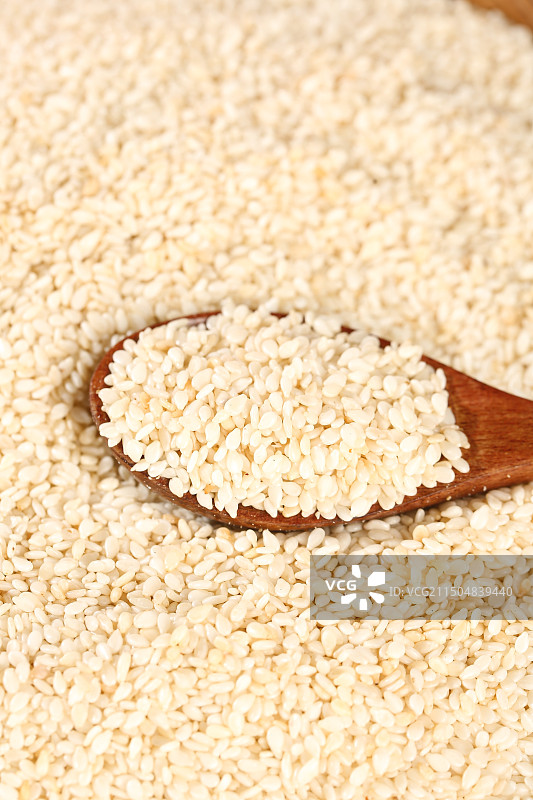 白芝麻图片素材