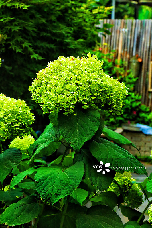 盛唐小区图片素材