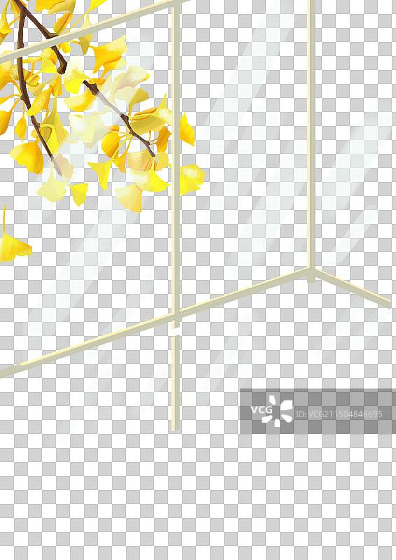 银杏树图片素材