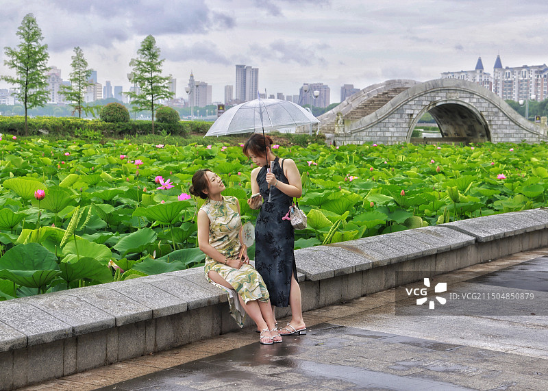 荷塘畔图片素材