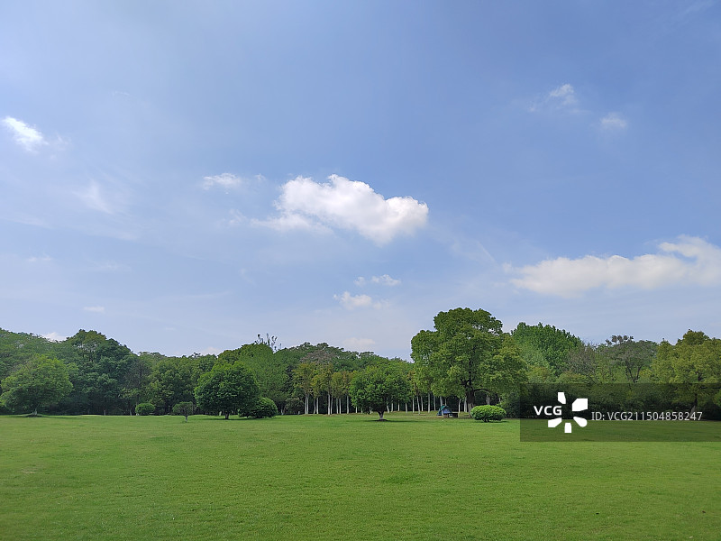 江西南昌艾溪湖森林湿地公园图片素材