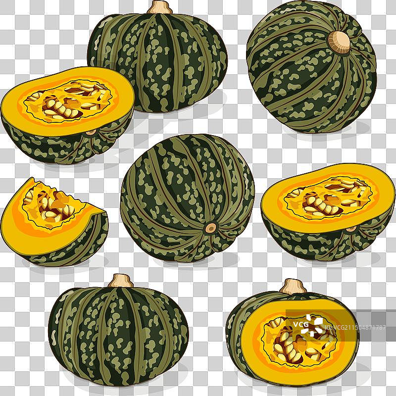 卡波查冬瓜南瓜剪贴画套装图片素材