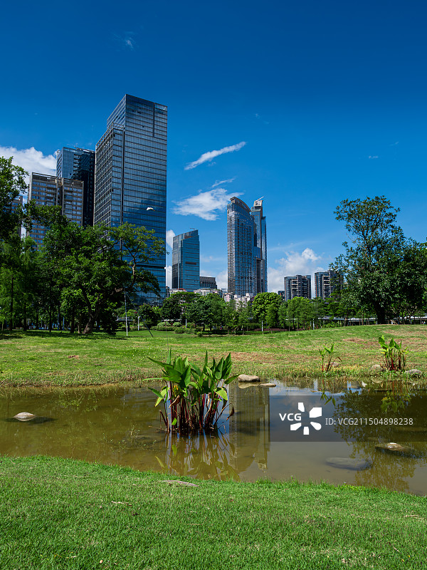 夏季的深圳香蜜公园图片素材