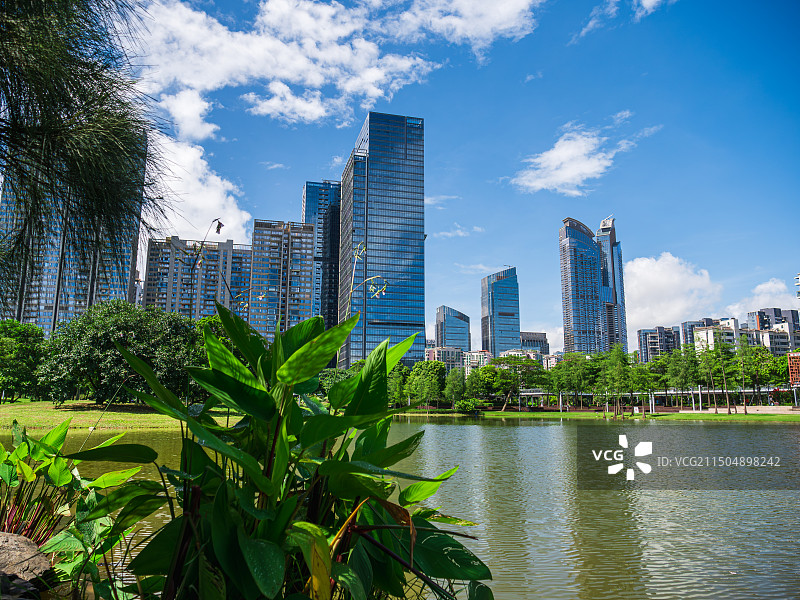 夏季的深圳香蜜公园图片素材