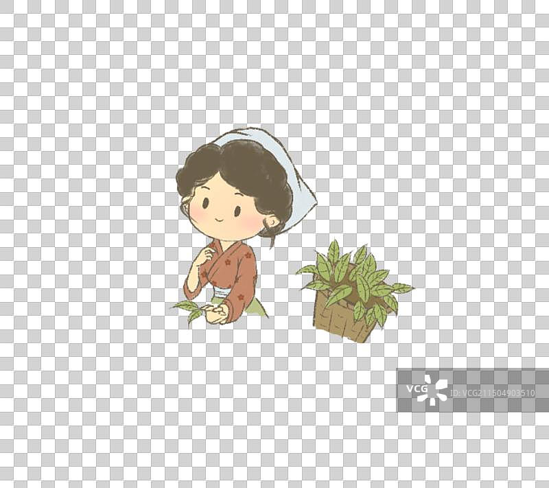 采茶女正在梯田采茶叶图片素材