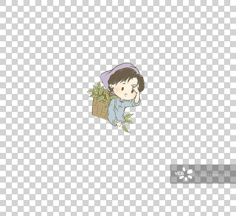 采茶女正在梯田采茶叶图片素材