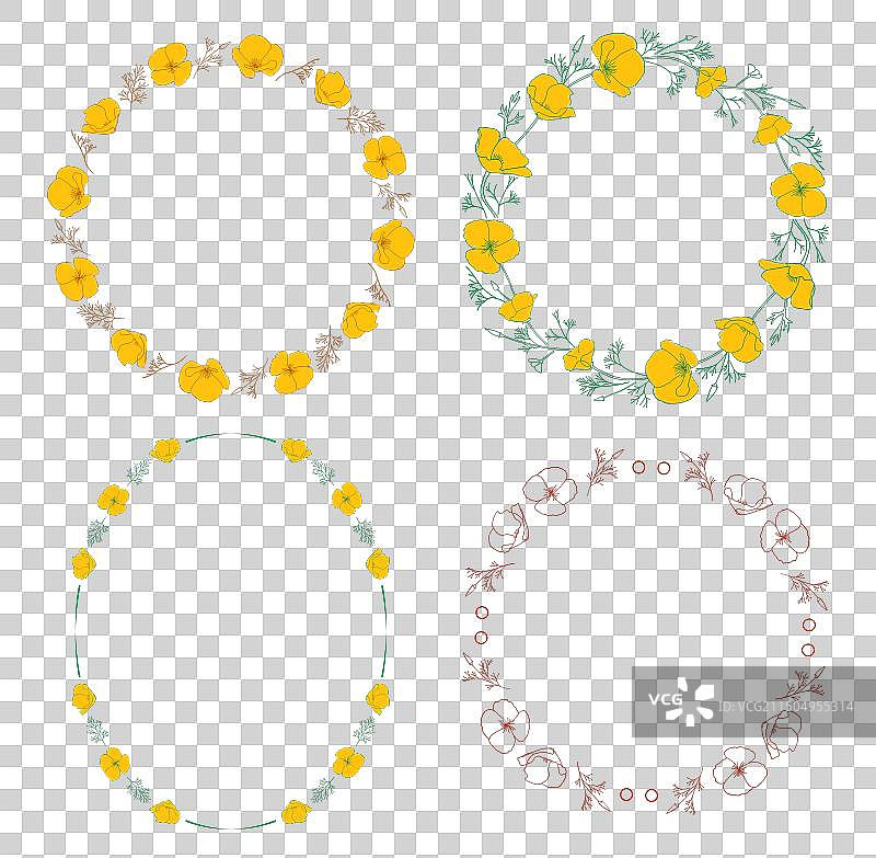 橙色花菱草圆形边框图片素材