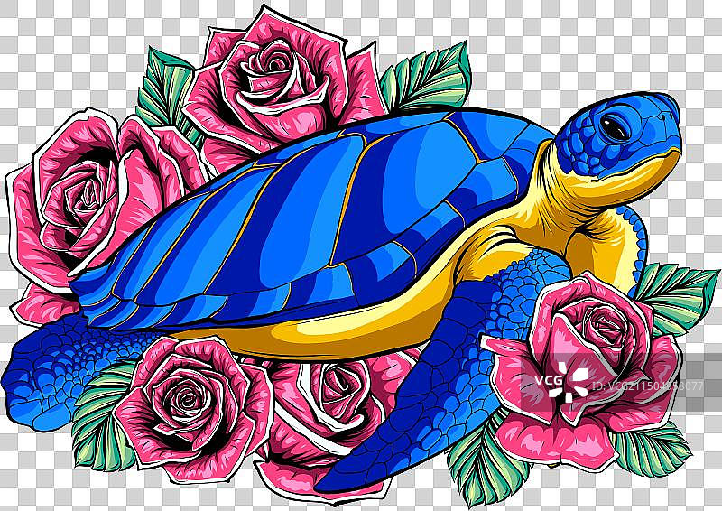 白色背景上的玫瑰海龟图片素材