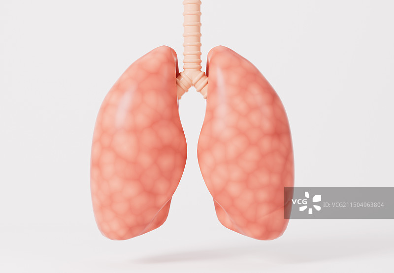 呼吸系统肺3D渲染图片素材