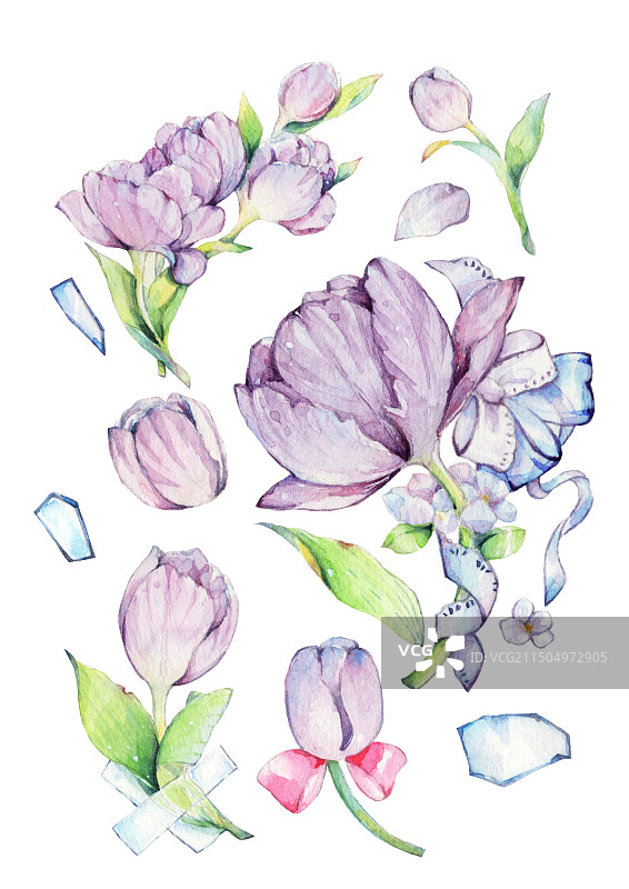 水彩手绘清新自然雾蓝色紫色郁金香花朵特写镜头插画图片素材