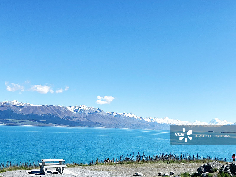 捕捉生活中的美# 瓦纳卡#孤独的树#自由#纯净#美好图片素材