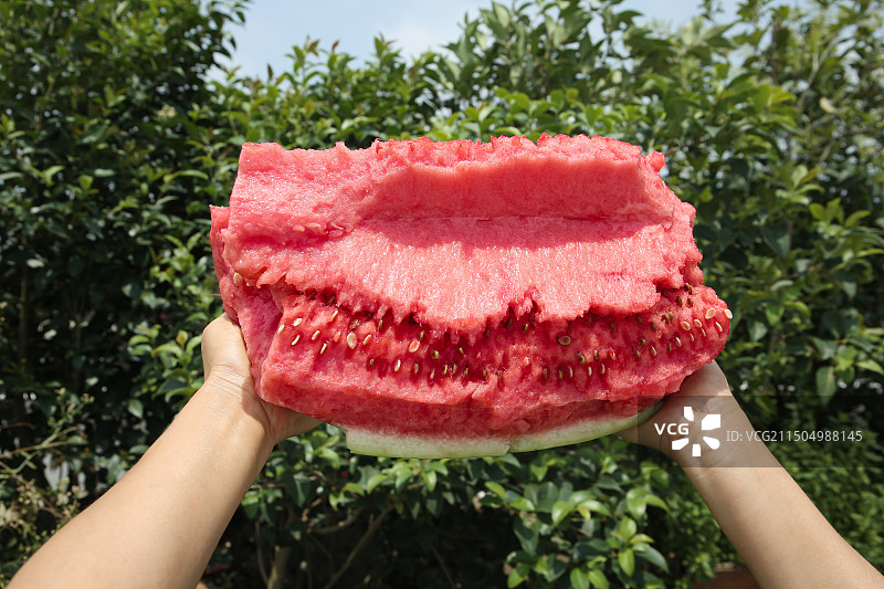 石头瓜图片素材