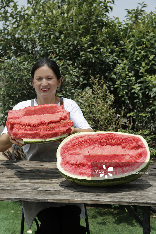 石头瓜图片素材