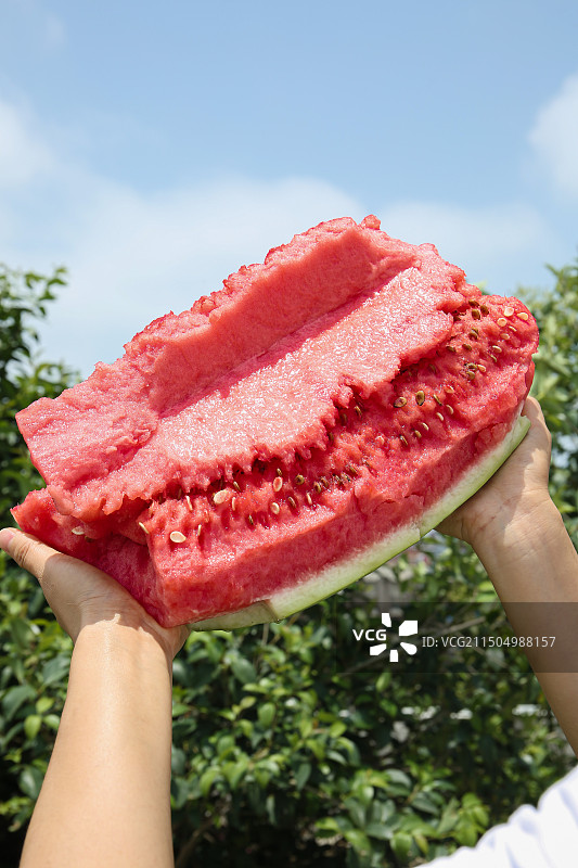 石头瓜图片素材