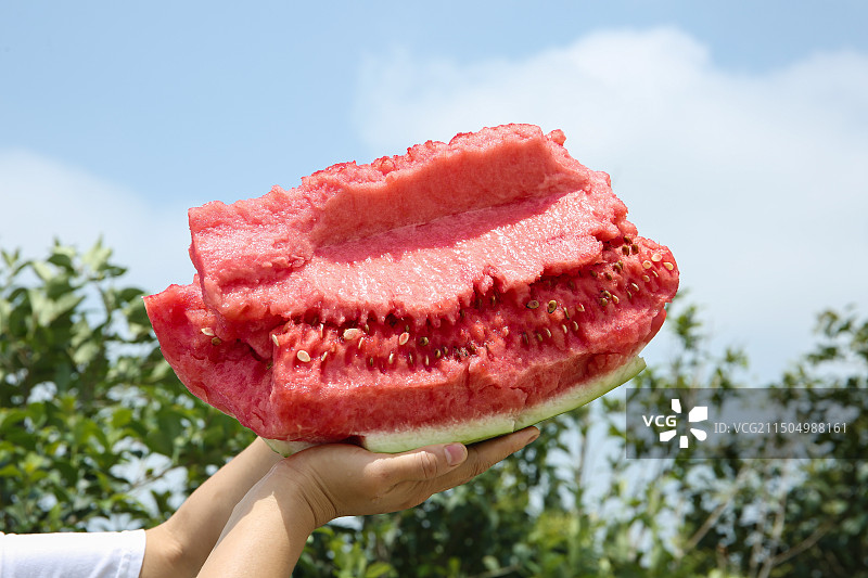 石头瓜图片素材