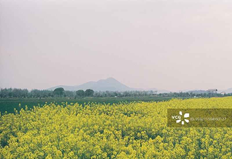 胶片中的春天图片素材