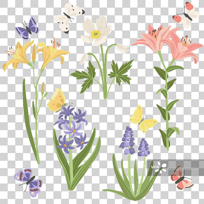 花园花卉绘画图片素材
