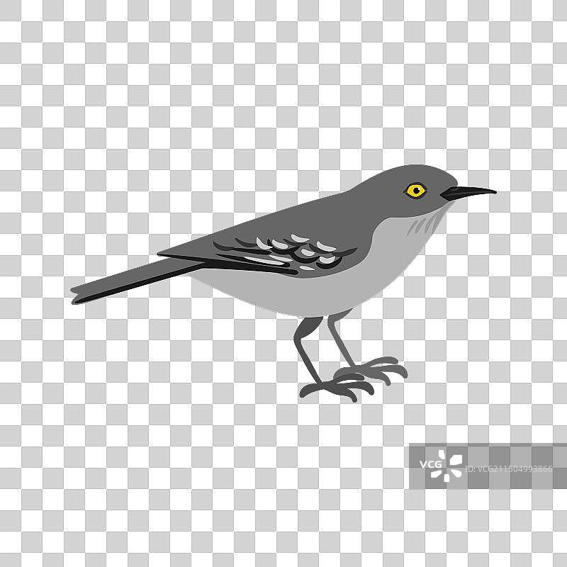 手绘鸟类图片素材