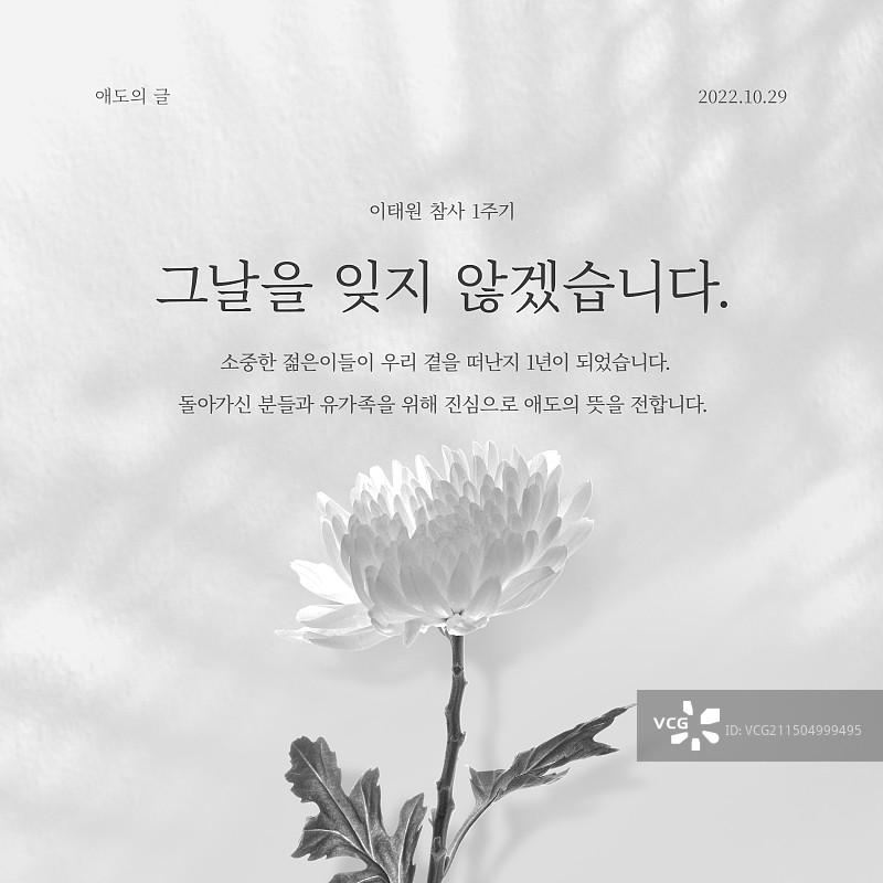 梨泰院菊花祭奠活动图片素材