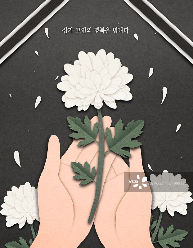 慰问葬礼用纸菊花图片素材