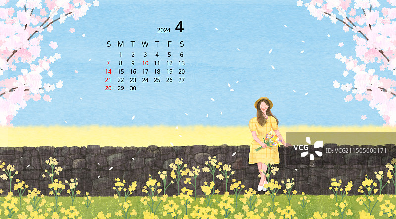 2024年4月春季石墙油菜花赏花图片素材