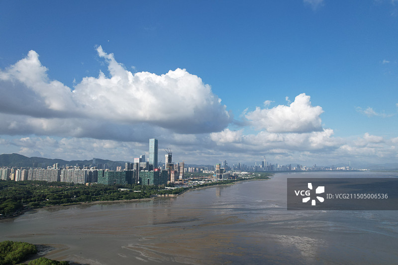 深圳湾公园无人机航拍风景图片素材