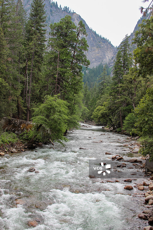 森林里的溪涧图片素材