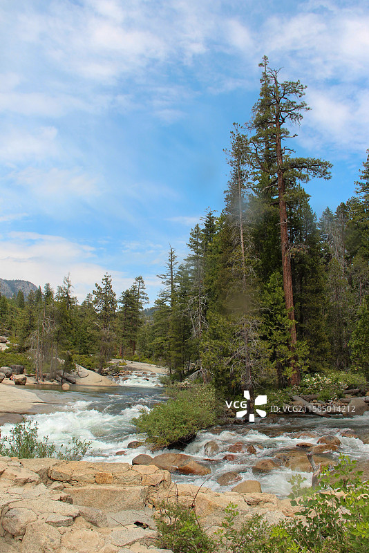 森林里的溪涧图片素材