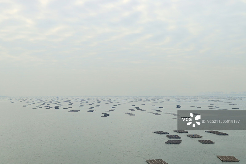 深圳前海的水产养殖场图片素材