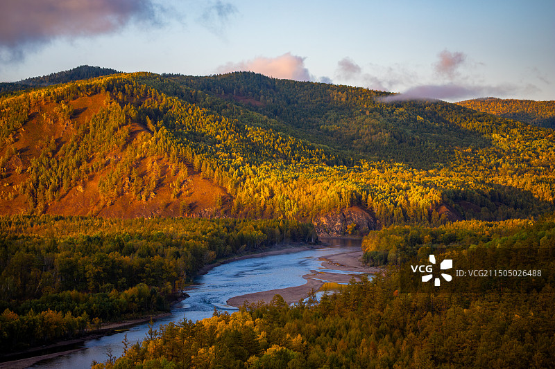 大兴安岭落叶松+大兴安岭+内蒙古图片素材