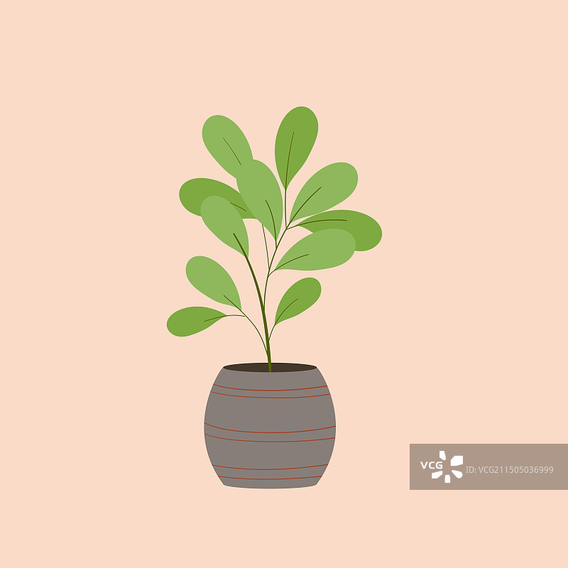 植物盆栽插画图片素材