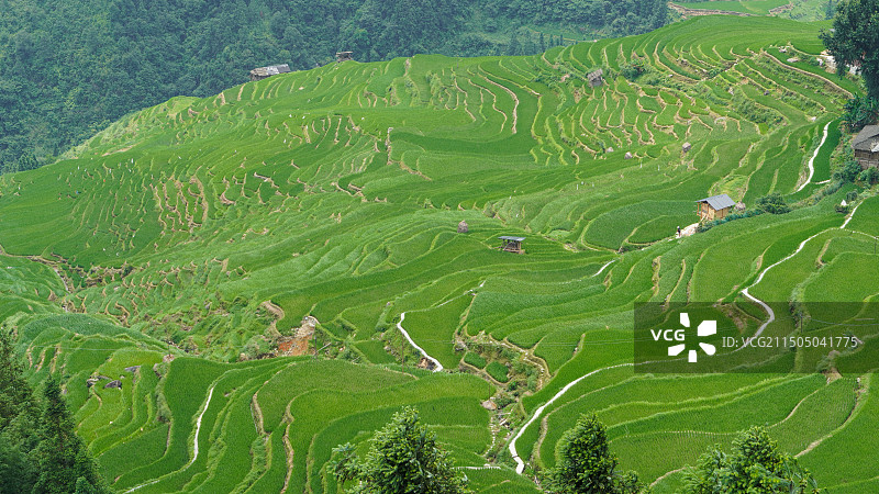 贵州黔东南从江县加榜梯田自然风光，桃花源的感觉图片素材