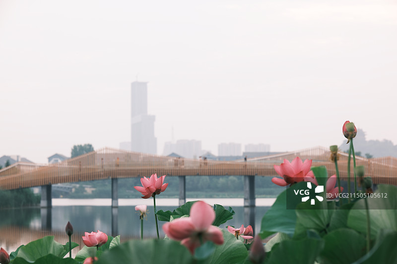 且陶陶，乐尽天真图片素材